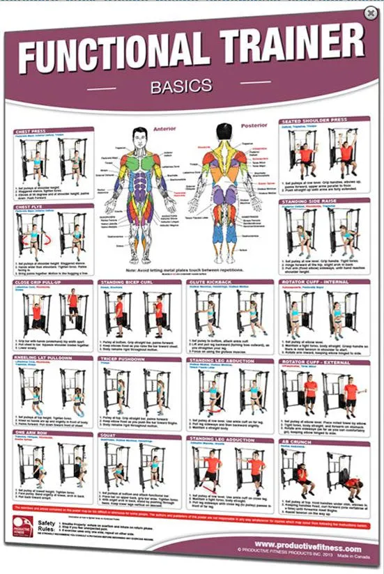 Basics Functional Trainer Poster by Productive Fitness Products - Essential Guide for Optimum Training