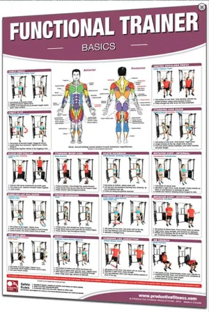 Basics Functional Trainer Poster by Productive Fitness Products - Essential Guide for Optimum Training